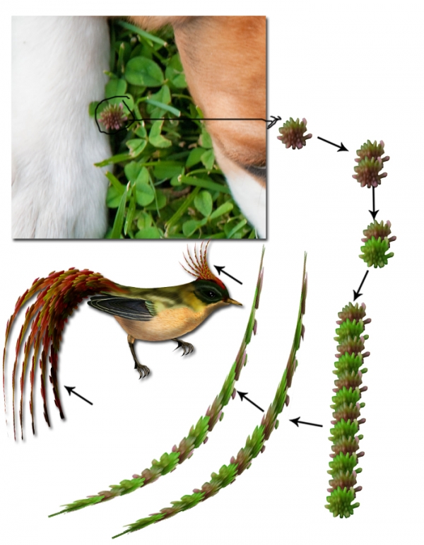 Creation of Breeze of Dawn: Step 24